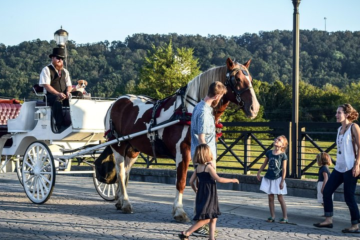 Private Chattanooga Horse & Carriage Tour - Photo 1 of 5